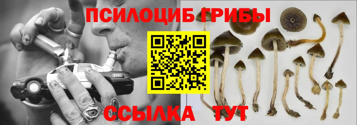 Галлюциногенные грибы GOLDEN TEACHER Стрежевой